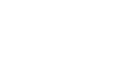 Praxis im Verkehr-Logo